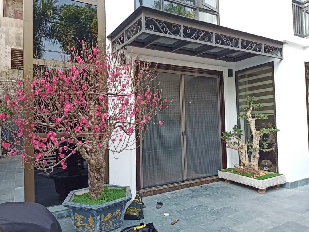 Cửa chống muỗi bánh xe đồng 2
